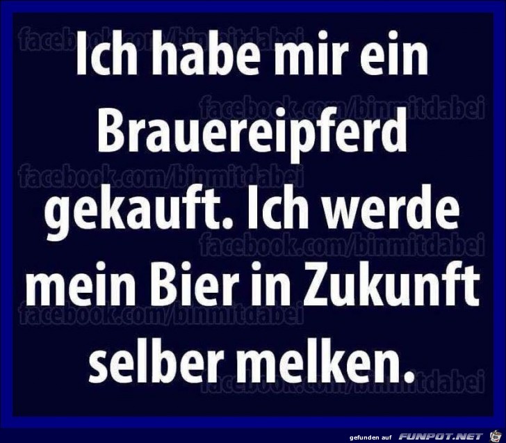 Brauereipferd