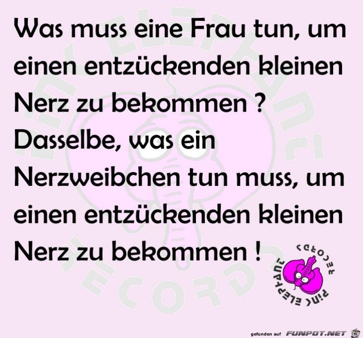 Nerz Nerz