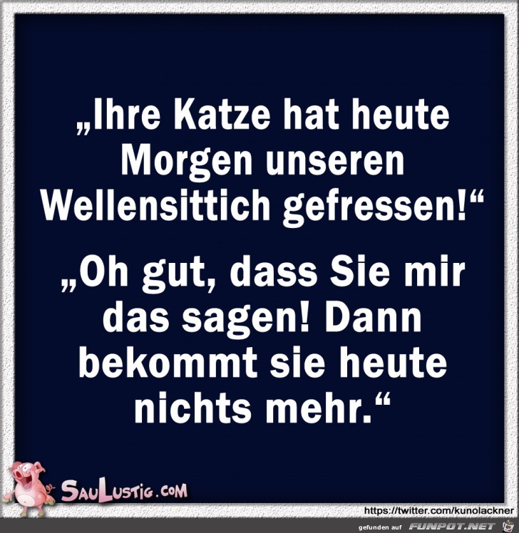 Ihre-Katze-heute-morgen-unseren-Wellensittich-gefressen Ihre-Katze-heute-morgen-unseren-Wellensittich-gefressen