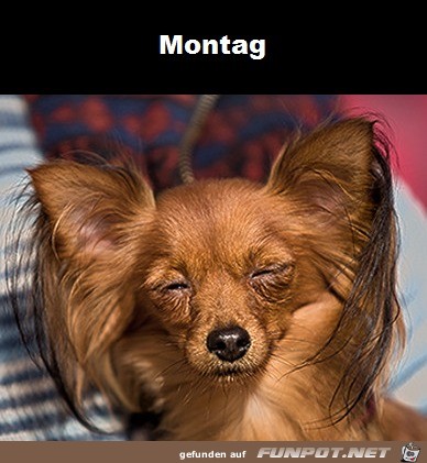 Montag Montag
