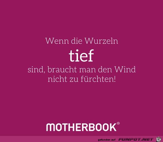 Wenn die Wurzeln tief sind Wenn die Wurzeln tief sind
