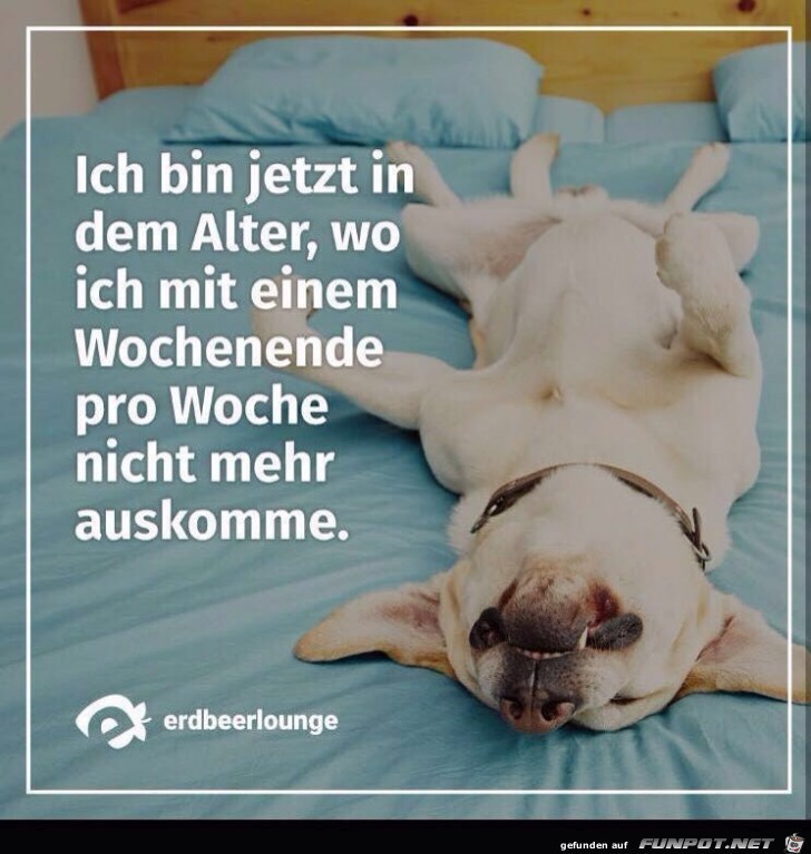 ich bin jetzt in dem Alter ich bin jetzt in dem Alter