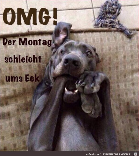 Montag Montag