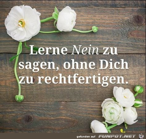 Lerne nein zu sagen Lerne nein zu sagen