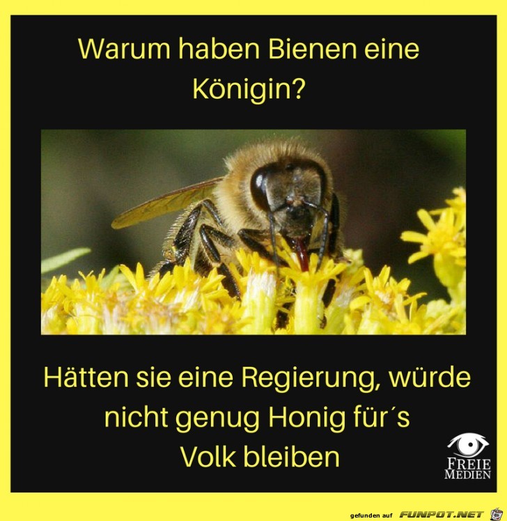 Warum haben Bienen eine Koenigin Warum haben Bienen eine Koenigin