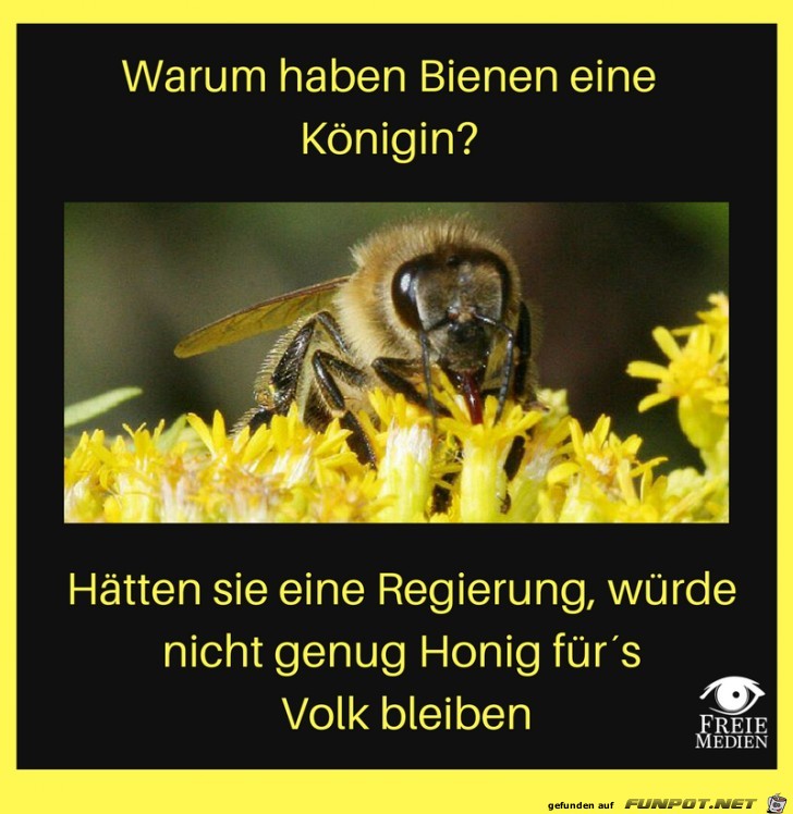 Warum haben Bienen eine Koenigin