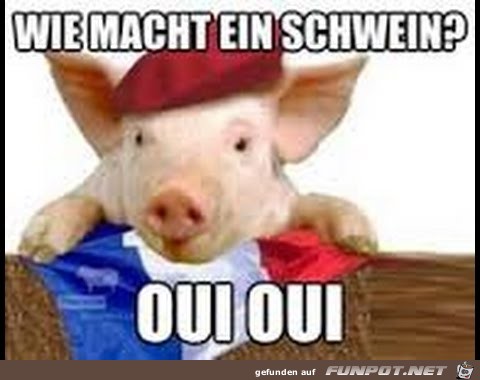 Wie macht ein Schwein?