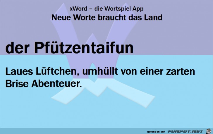 Neue-Worte-Pfuetzentaifun