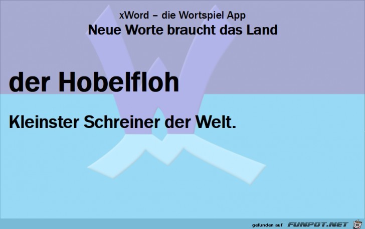 Neue-Worte-Hobelfloh