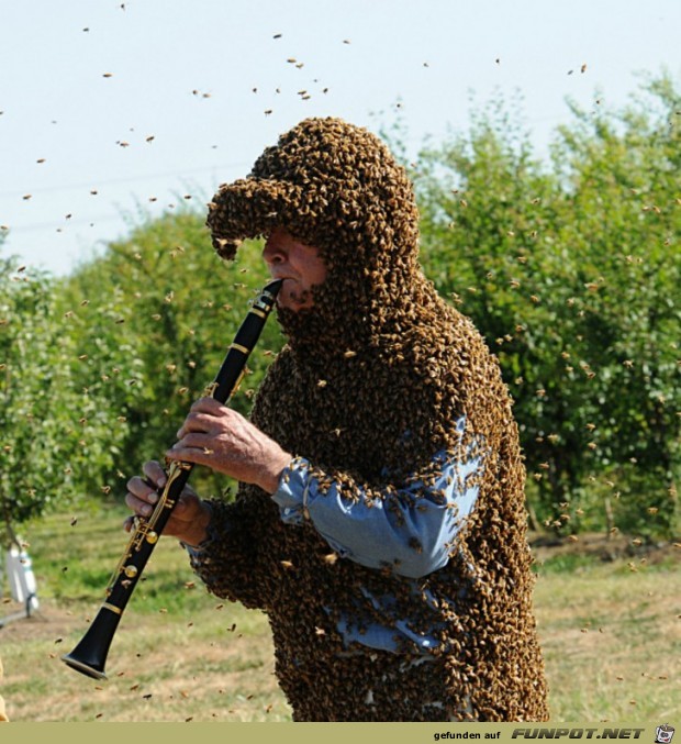 Bienenbeschwörer Bienenbeschwörer