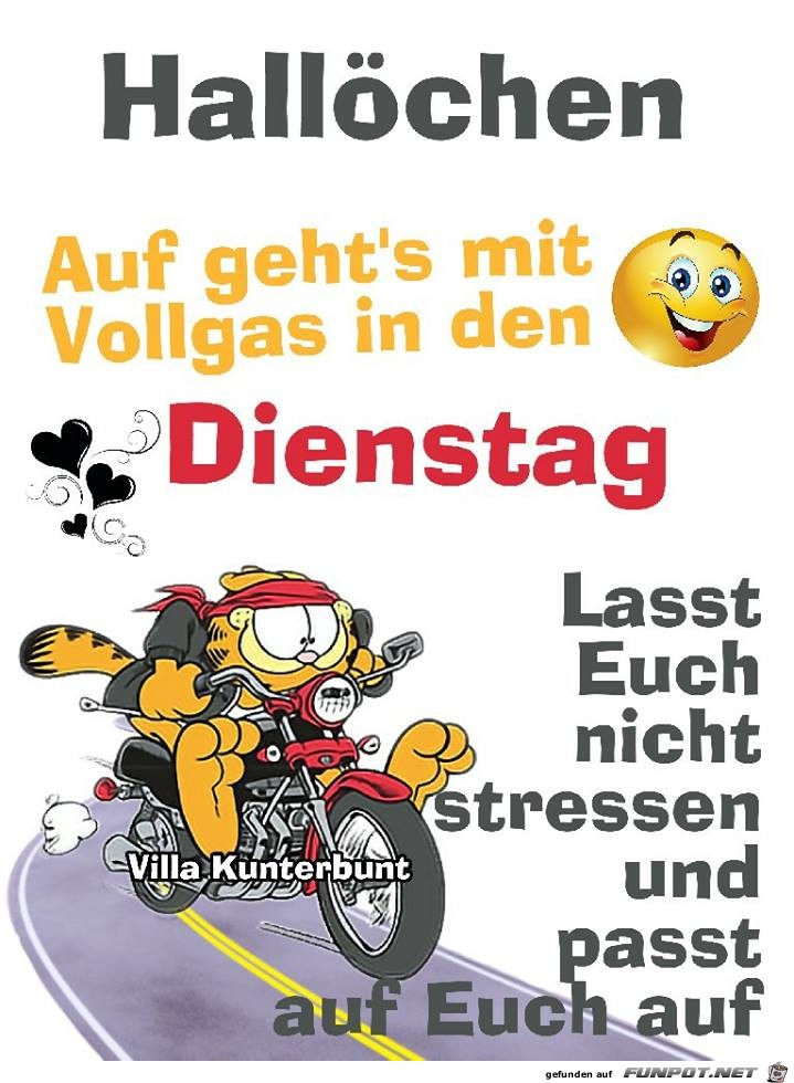 Auf gehts mit Vollgas