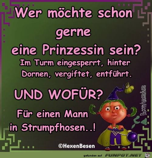 Wer mchte schon gern