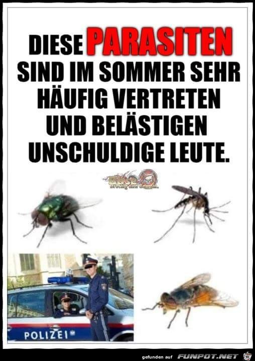Parasiten Parasiten