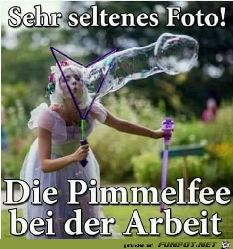 Ein seltenes Foto Ein seltenes Foto