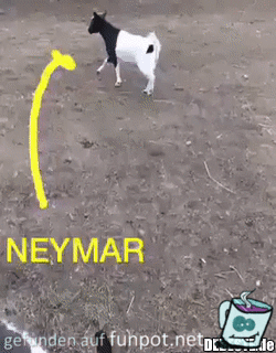 Neymar in der Tierwelt