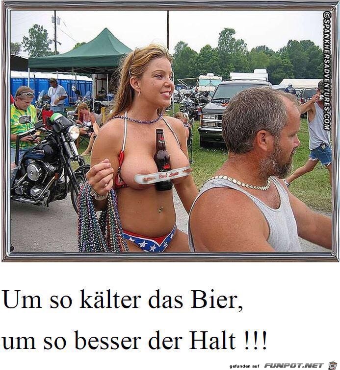 kaltes kaltes