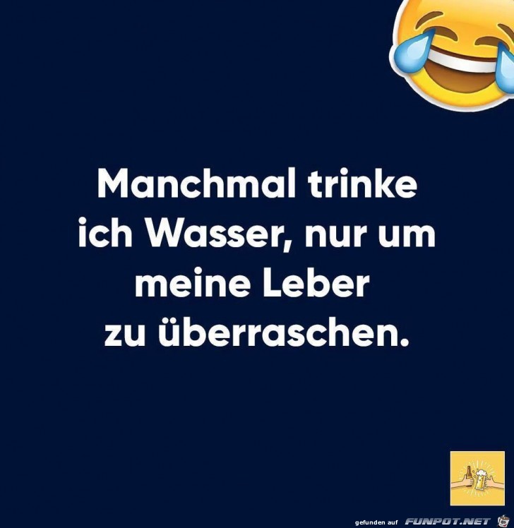 die Leber die Leber