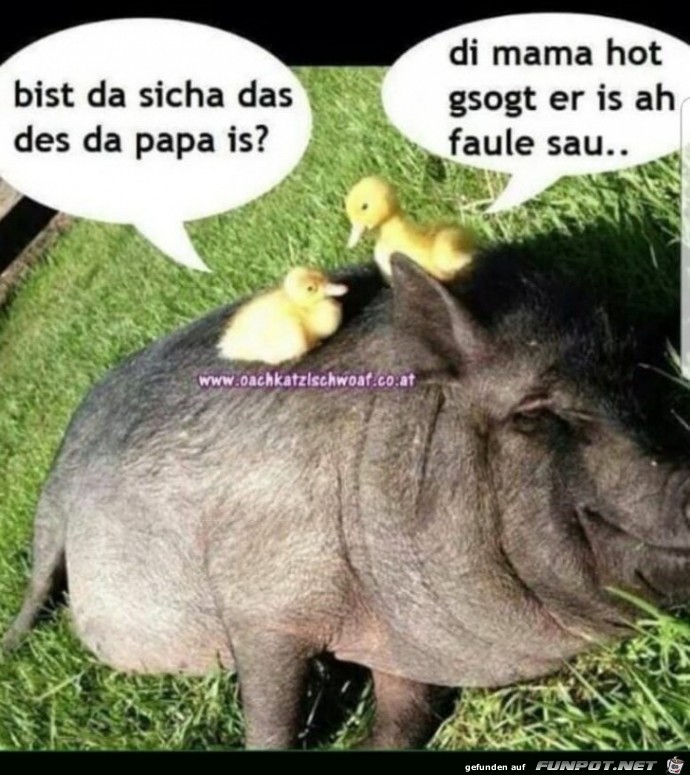 bist du sicher