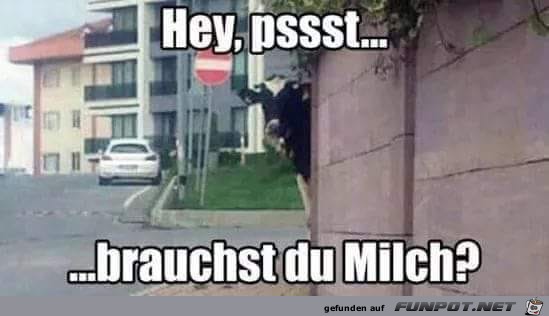Hey, psssst.... Hey, psssst....