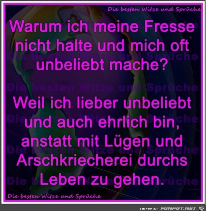 Warum ich meine Fresse nicht halte Warum ich meine Fresse nicht halte