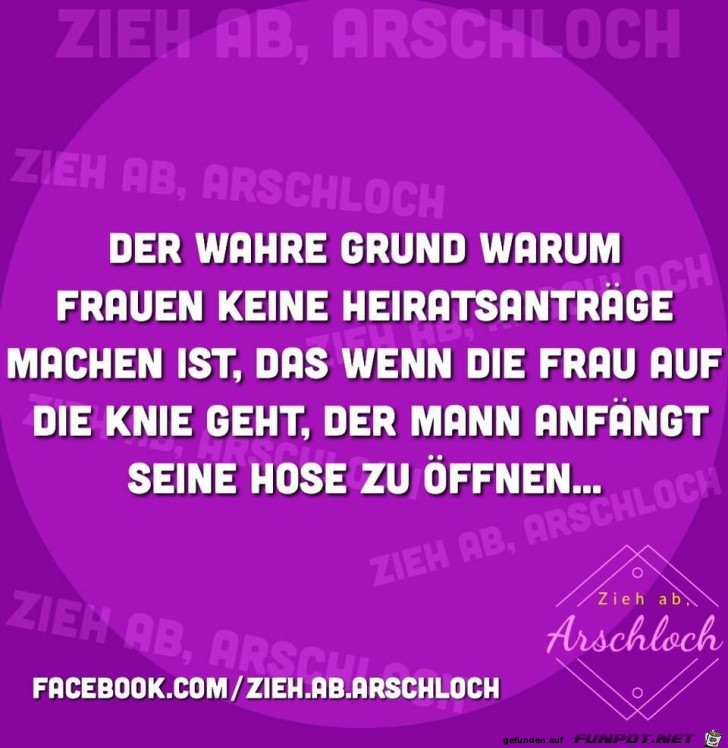 Frauen machen keine Heiratsanträge Frauen machen keine Heiratsanträge
