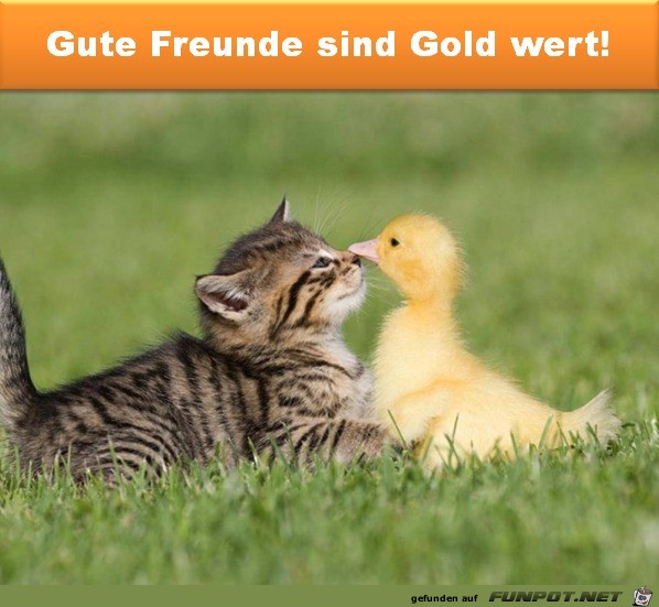 Gute Freunde