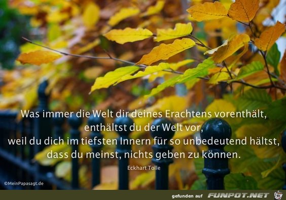 Was immer die Welt