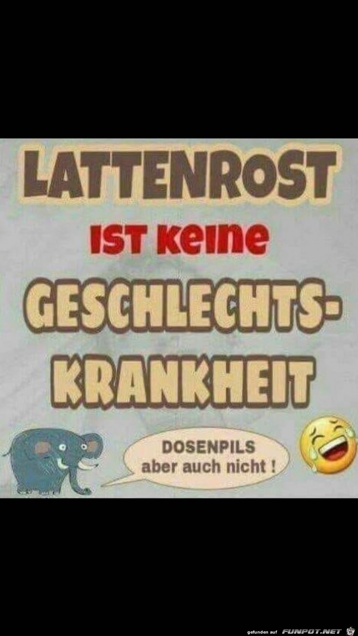 Lattenrost und Dosenpilz