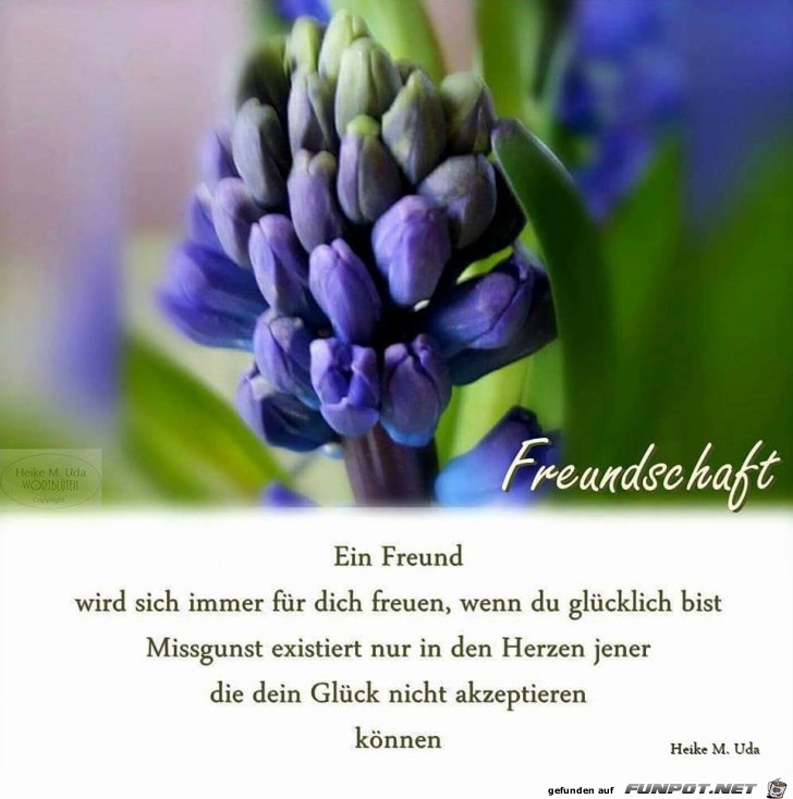 Freundschaft Freundschaft