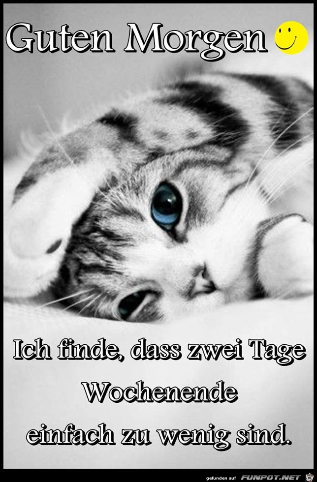 Guten Morgen Guten Morgen