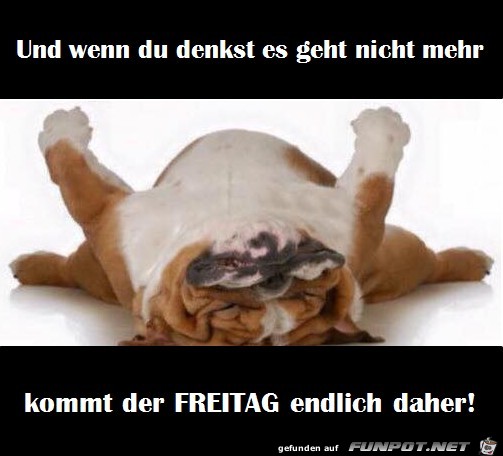 Freitag Freitag