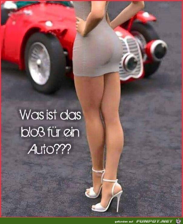 Was für eine Frage Was für eine Frage