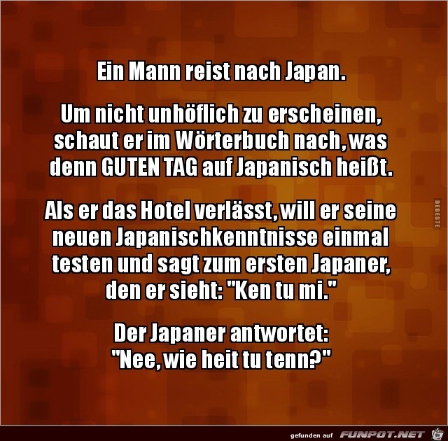 ein Mann reist nach Japan..