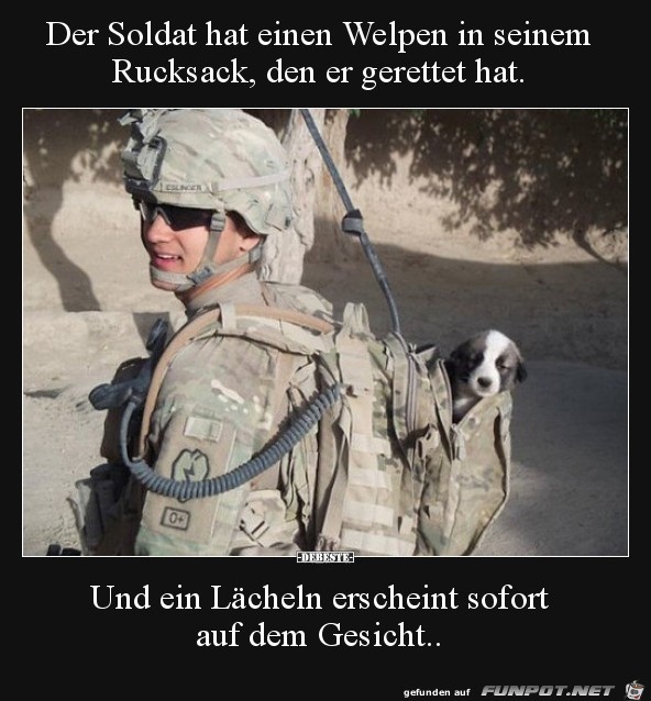 Soldat rettet kleinen Welpen.... Soldat rettet kleinen Welpen....