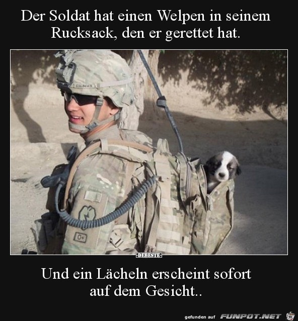 Soldat rettet kleinen Welpen....