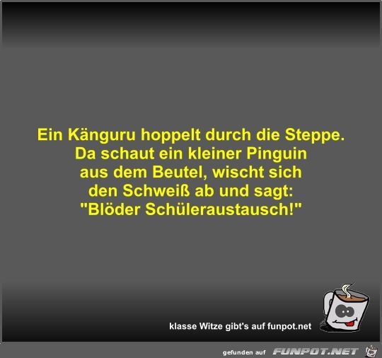 Ein Knguru hoppelt durch die Steppe