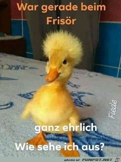 neue Frisur