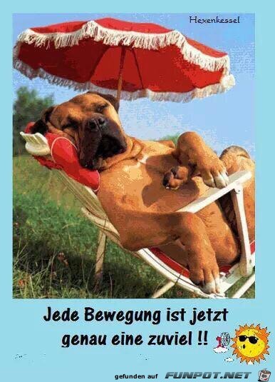 Nur nicht bewegen Nur nicht bewegen