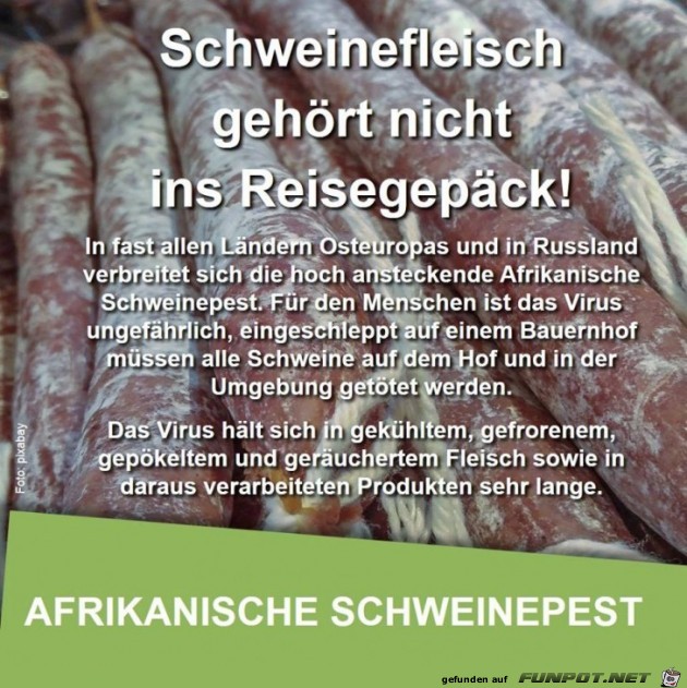 Warnung vor Schweinepest Warnung vor Schweinepest