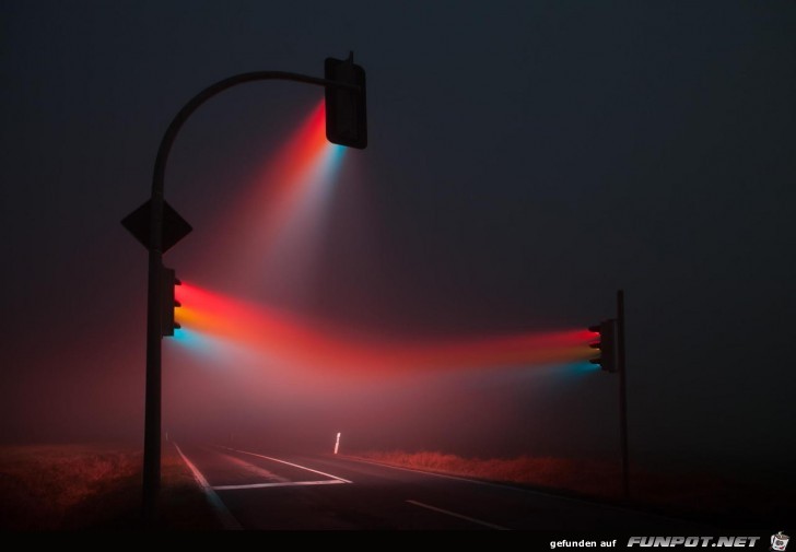 Ampel im Nebel Ampel im Nebel