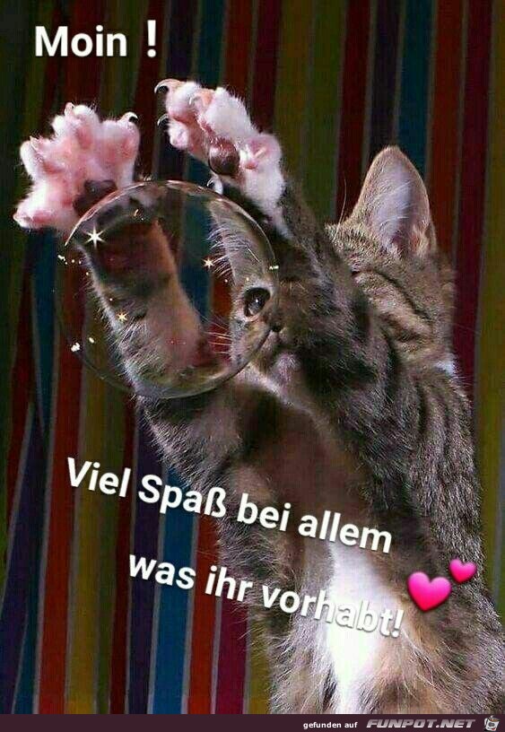 Guten Morgen Guten Morgen