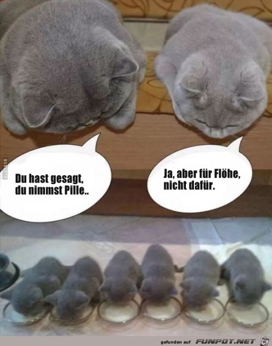 Missverständnis Missverständnis