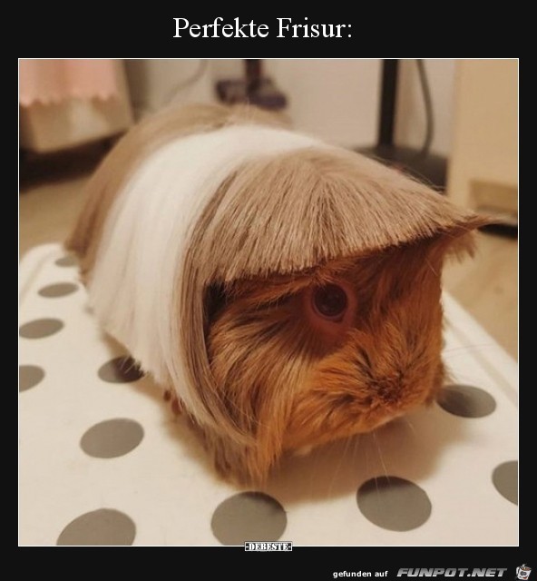 Klasse Frisur Klasse Frisur