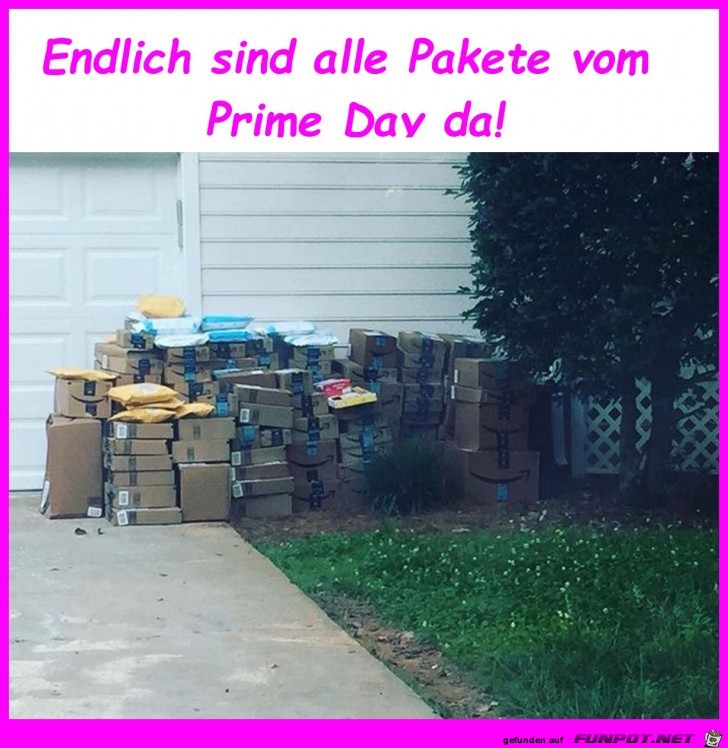 Pakete sind da Pakete sind da