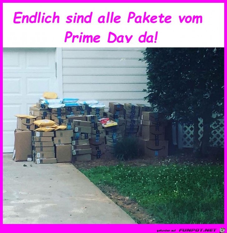 Pakete sind da