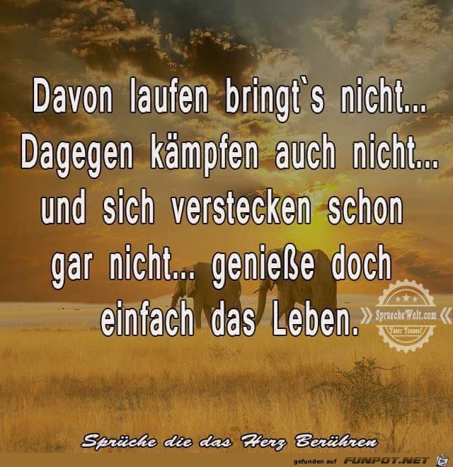 davon laufen davon laufen