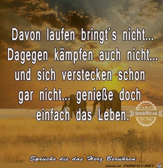 davon laufen