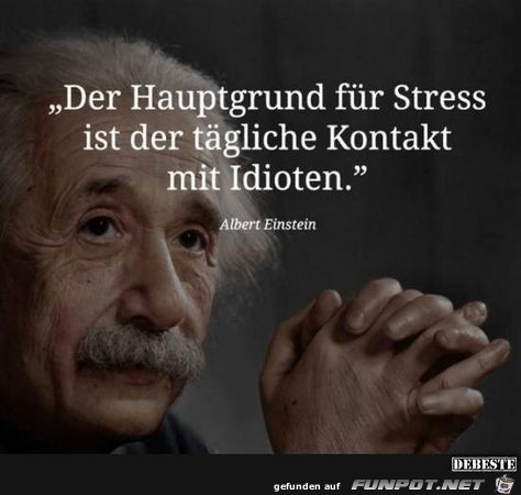 der Hauptgrund fuer stress