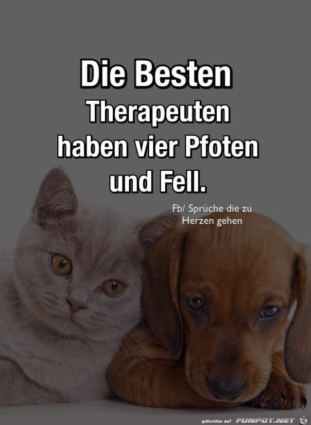 die besten Therapeuten