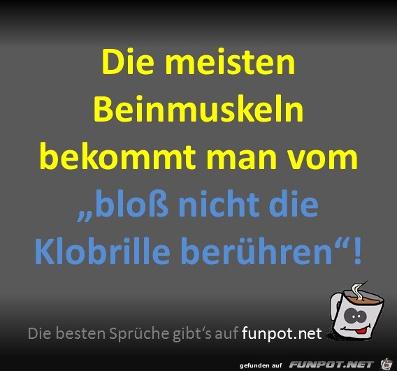 Beinmuskeln Beinmuskeln